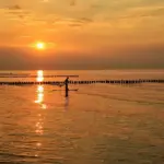 Hvordan vælger jeg den rigtige vægt på min strandtennis-ketcher?